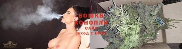 дурь Дмитровск