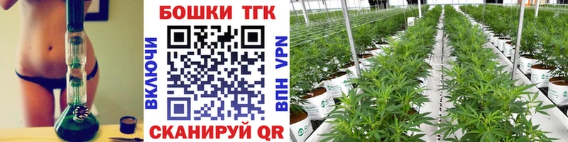 Бошки Шишки гибрид  Купить где  Шуя 
